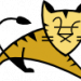 Apache Tomcat – Icon Apache Tomcat – Icon