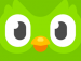 Duolingo – Icon
