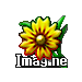 Imagine – Icon Imagine – Icon