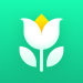 Plant Parent – Guide entretien – Icon