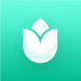 PlantIn plantes reconnaissance – Icon