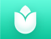 PlantIn plantes reconnaissance – Icon