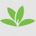 PlantNet – Pl@ntNet Identification Plante – Icon PlantNet – Pl@ntNet Identification Plante – Icon