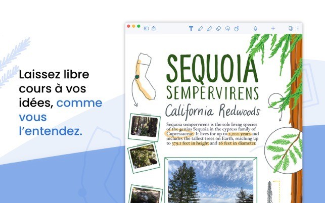 Capture d'écran 0 Capture d'écran 0