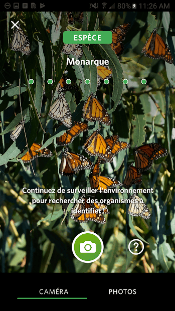 Capture d'écran 0 Capture d'écran 0