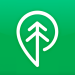Treebal – Icon Treebal – Icon