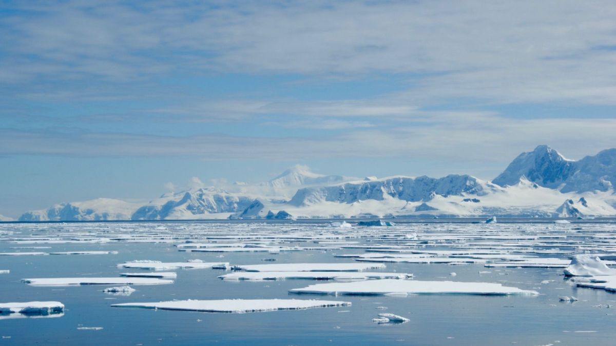 L'Antarctique. // Source : Envato L'Antarctique. // Source : Envato