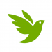 iNaturalist – Icon iNaturalist – Icon