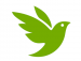iNaturalist – Icon