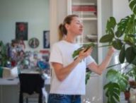 Les plantes peuvent aider à rafraichir un logement. // Source : Envato