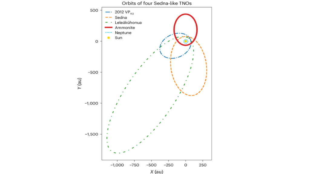 Orbite de 4 sednoïdes connus Orbite de 4 sednoïdes connus
