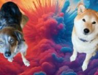 Les chiens d'Ulrich savent-ils différencier le bien du mal ? // Source : Montage Numerama Les chiens d'Ulrich savent-ils différencier le bien du mal ? // Source : Montage Numerama