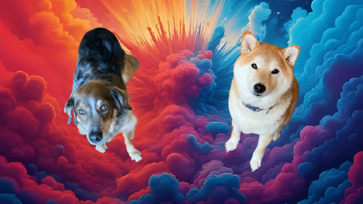 Les chiens d'Ulrich savent-ils différencier le bien du mal ? // Source : Montage Numerama Les chiens d'Ulrich savent-ils différencier le bien du mal ? // Source : Montage Numerama