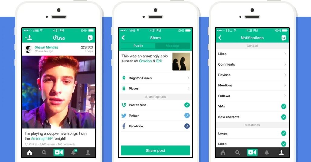 L'interface de Vine en 2012. L'interface de Vine en 2012.