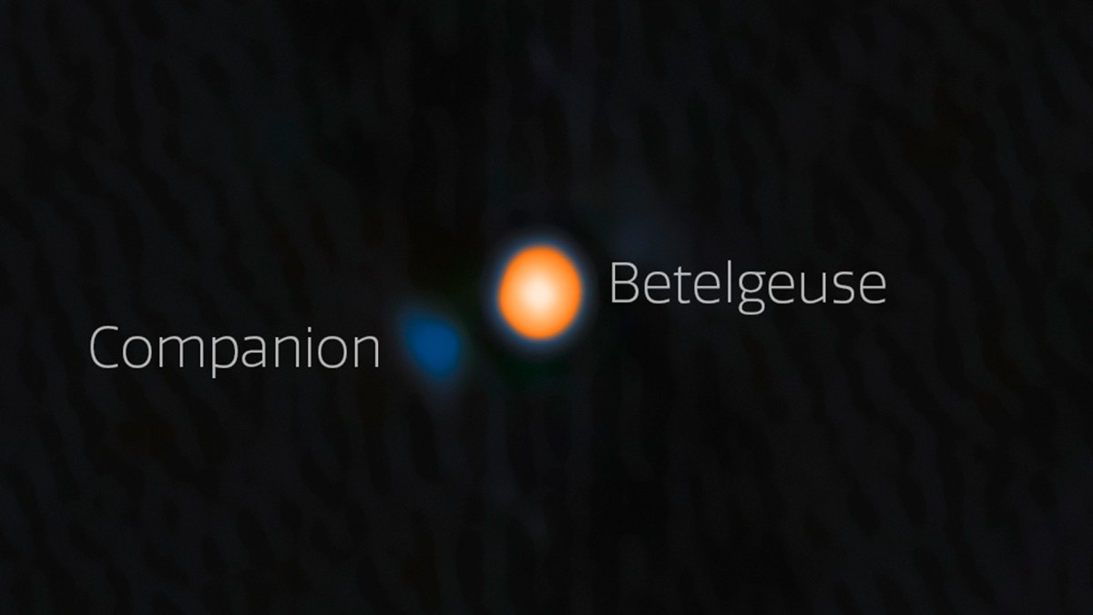 Image de Bételgeuse et son compagnon obtenue par le télescope Gemini. // Source : International Gemini Observatory/NOIRLab/NSF/AURA Image de Bételgeuse et son compagnon obtenue par le télescope Gemini. // Source : International Gemini Observatory/NOIRLab/NSF/AURA