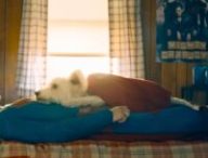 Krypto dans le film Superman // Source : Warner Bros. Krypto dans le film Superman // Source : Warner Bros.