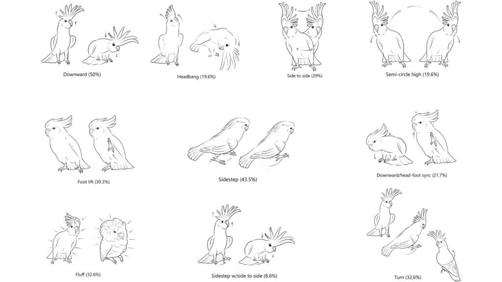 Illustration des 10 mouvements de danse les plus fréquents observés dans l'étude // Source : Illustration Zenna Lugosi. Basé sur la description d'ethogramme par Keehn et al. 