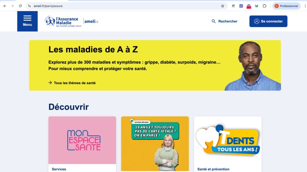 Interface du site de l'Amelie // Source : Capture écran-Diane Hassoun Interface du site de l'Amelie // Source : Capture écran-Diane Hassoun
