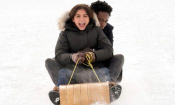 Flocons d'Amour (Let it Snow) // Source : Steve Wilkie