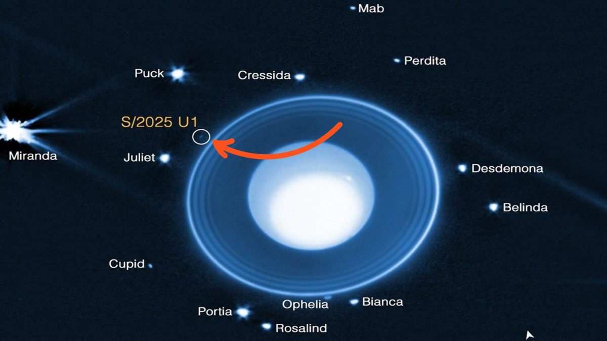 La nouvelle lune d'Uranus. // Source : NASA, ESA, CSA, STScI, M. El Moutamid (SwRI), M. Hedman (University of Idaho) (annotation Numerama) La nouvelle lune d'Uranus. // Source : NASA, ESA, CSA, STScI, M. El Moutamid (SwRI), M. Hedman (University of Idaho) (annotation Numerama)