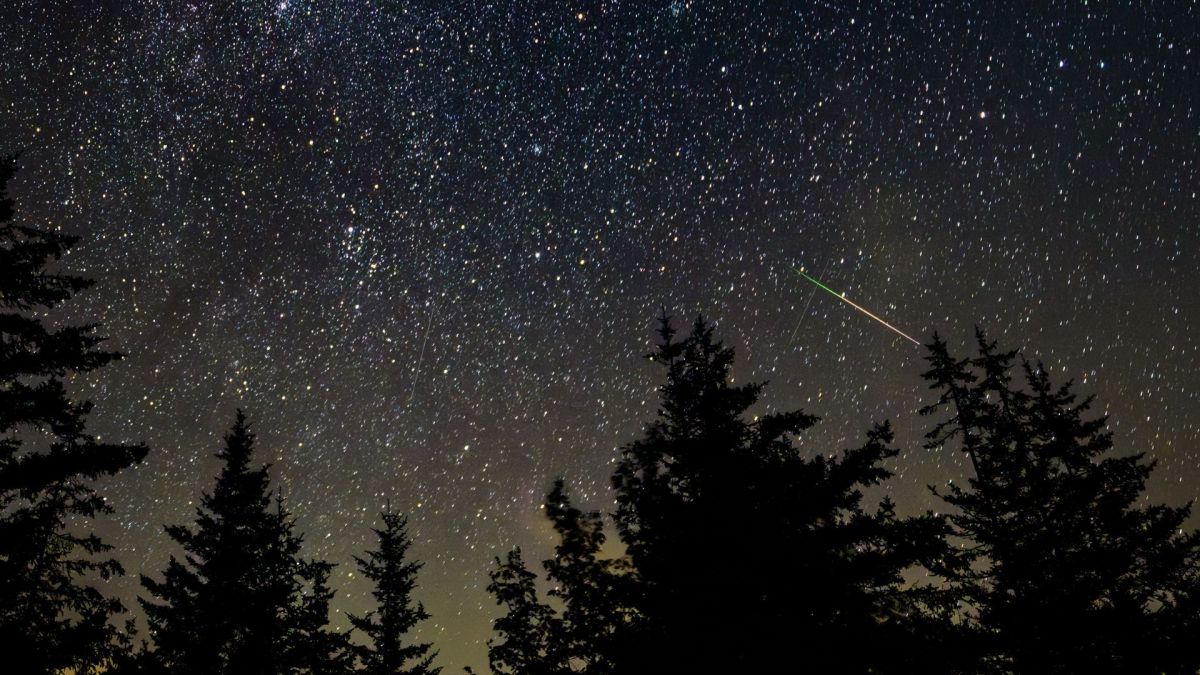 Un météore des Perséides, le 3 août 2025, photographié depuis la Virginie-Occidentale. // Source : Flickr/CC/NASA/Bill Ingalls (photo recadrée)