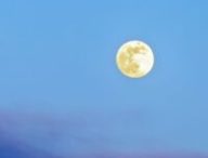 Pleine Lune. // Source : Canva