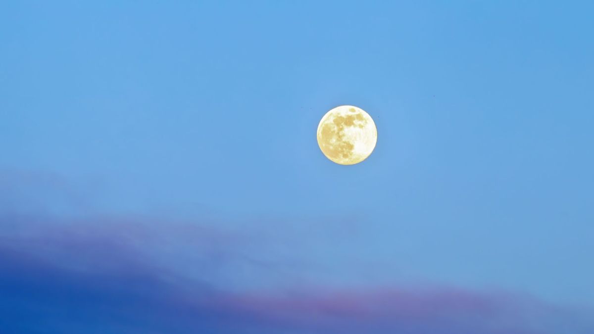 Pleine Lune. // Source : Canva Pleine Lune. // Source : Canva