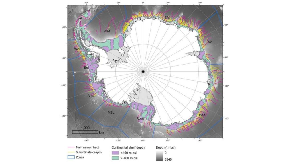 Aperçu des résultats de la cartographie du drainage pour cette étude // Source : The geomorphometry of Antarctic submarine canyons, Riccardo Arosio et David Amblàs Aperçu des résultats de la cartographie du drainage pour cette étude // Source : The geomorphometry of Antarctic submarine canyons, Riccardo Arosio et David Amblàs