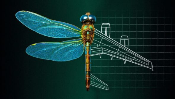 Libellule- Avion // Source : Numerama Libellule- Avion // Source : Numerama
