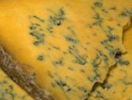 fromage bleu // Source : DPD photos-Pixabay fromage bleu // Source : DPD photos-Pixabay