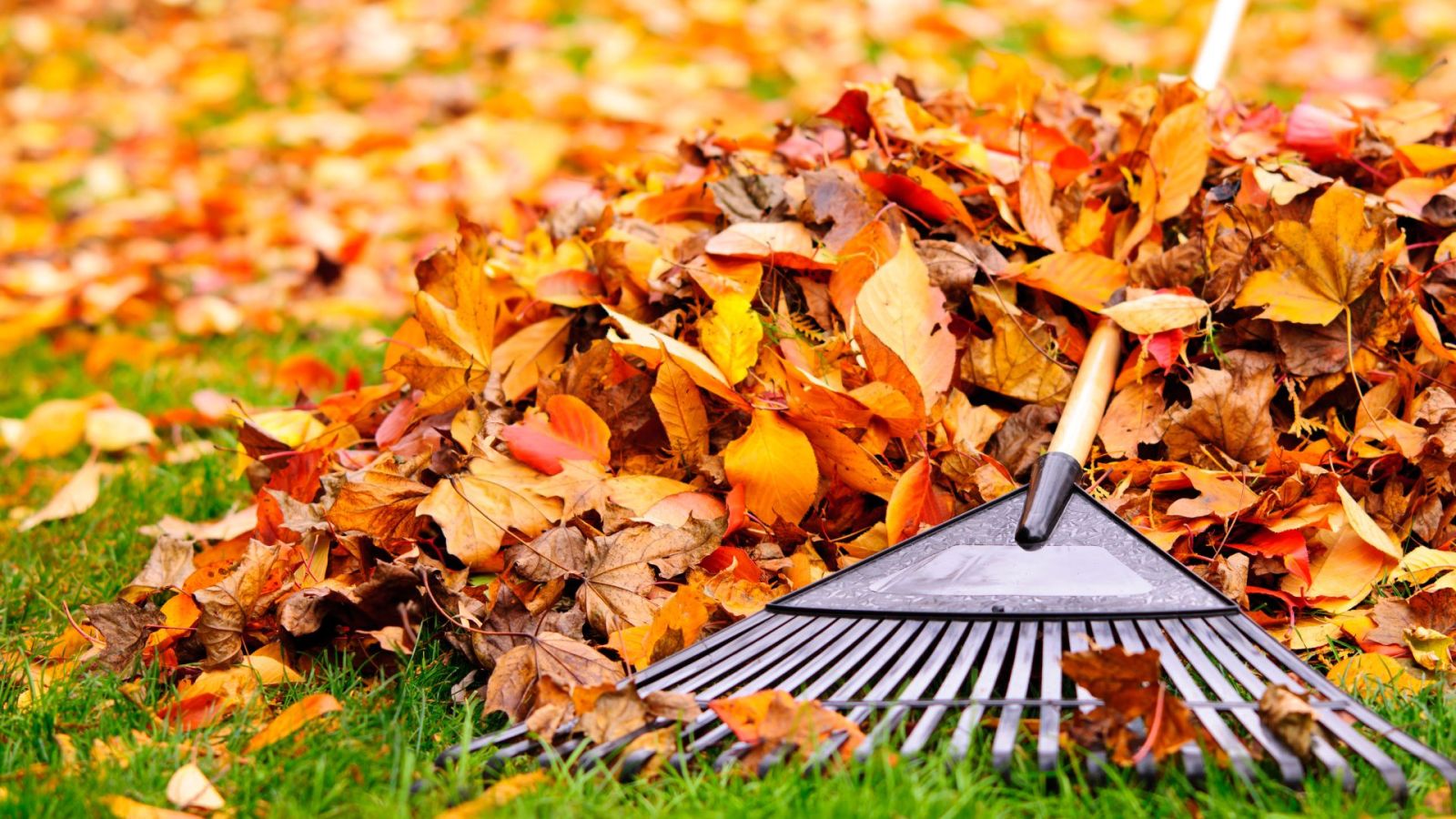 Équinoxe d'automne 2026 : pourquoi l'automne commence le 23 septembre, pas le 21