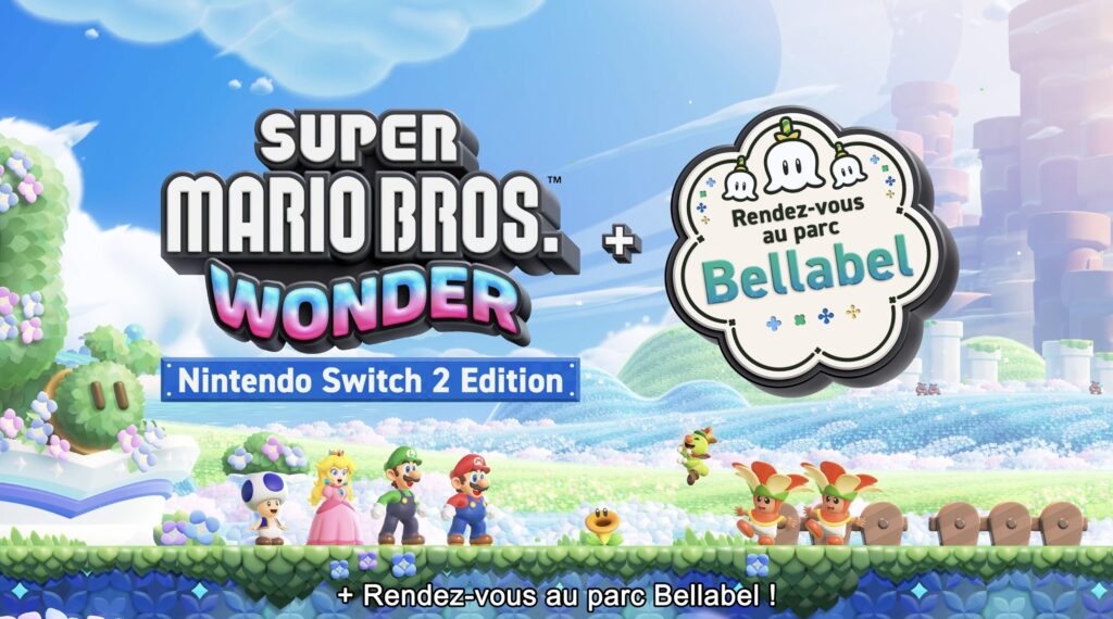 Source : Nintendo Source : Nintendo