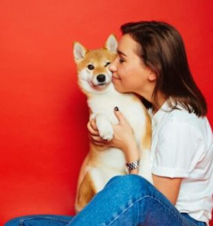Pourquoi les animaux nous rendent heureux. // Source : Canva Pourquoi les animaux nous rendent heureux. // Source : Canva