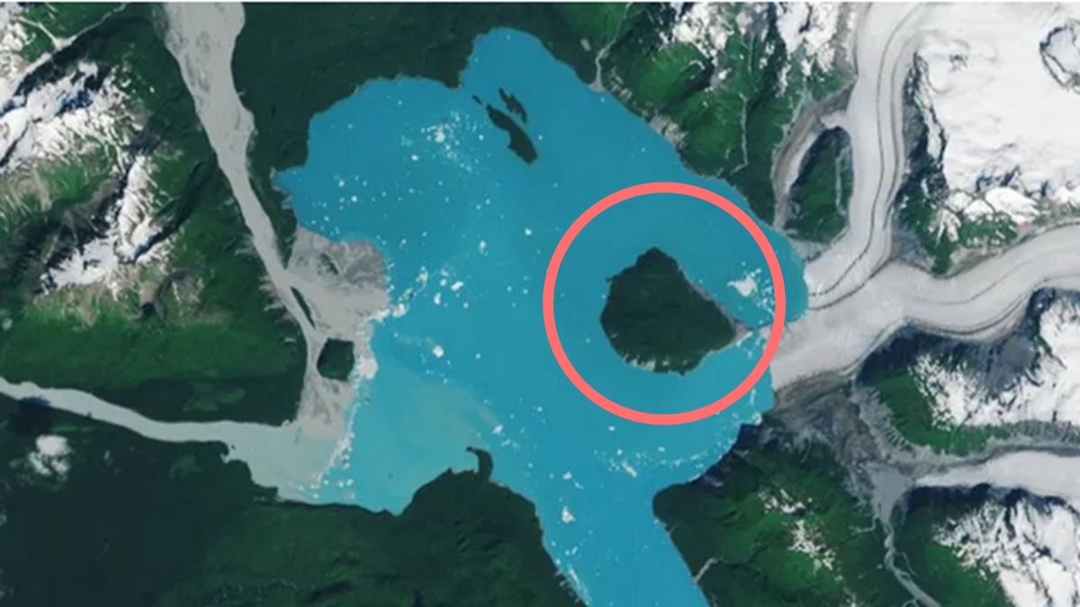 Une nouvelle île apparue en Alaska. // Source : NASA Earth Observatory Une nouvelle île apparue en Alaska. // Source : NASA Earth Observatory