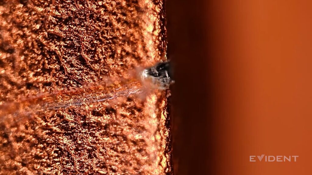 Au microscope, on voit ici une rayure sur le module caméra. La partir plate est toujours orange, mais les bordures ont perdu leur couleur. Au microscope, on voit ici une rayure sur le module caméra. La partir plate est toujours orange, mais les bordures ont perdu leur couleur.