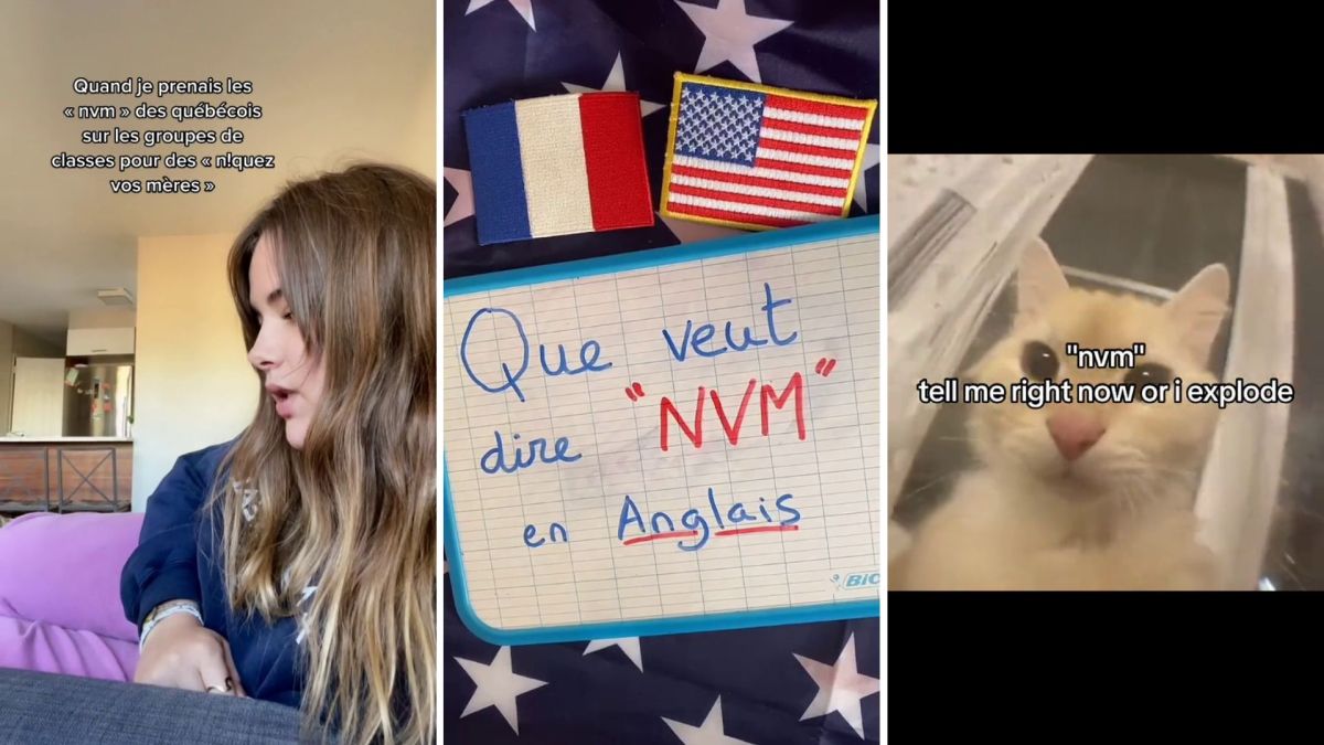 On vous explique l'expression « nvm » // Source : Montage Numerama On vous explique l'expression « nvm » // Source : Montage Numerama