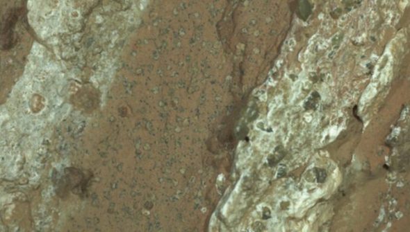 Image du roc possédant de possibles biosignatures. // Source : Nasa/JPL-Caltech/MSSS Image du roc possédant de possibles biosignatures. // Source : Nasa/JPL-Caltech/MSSS