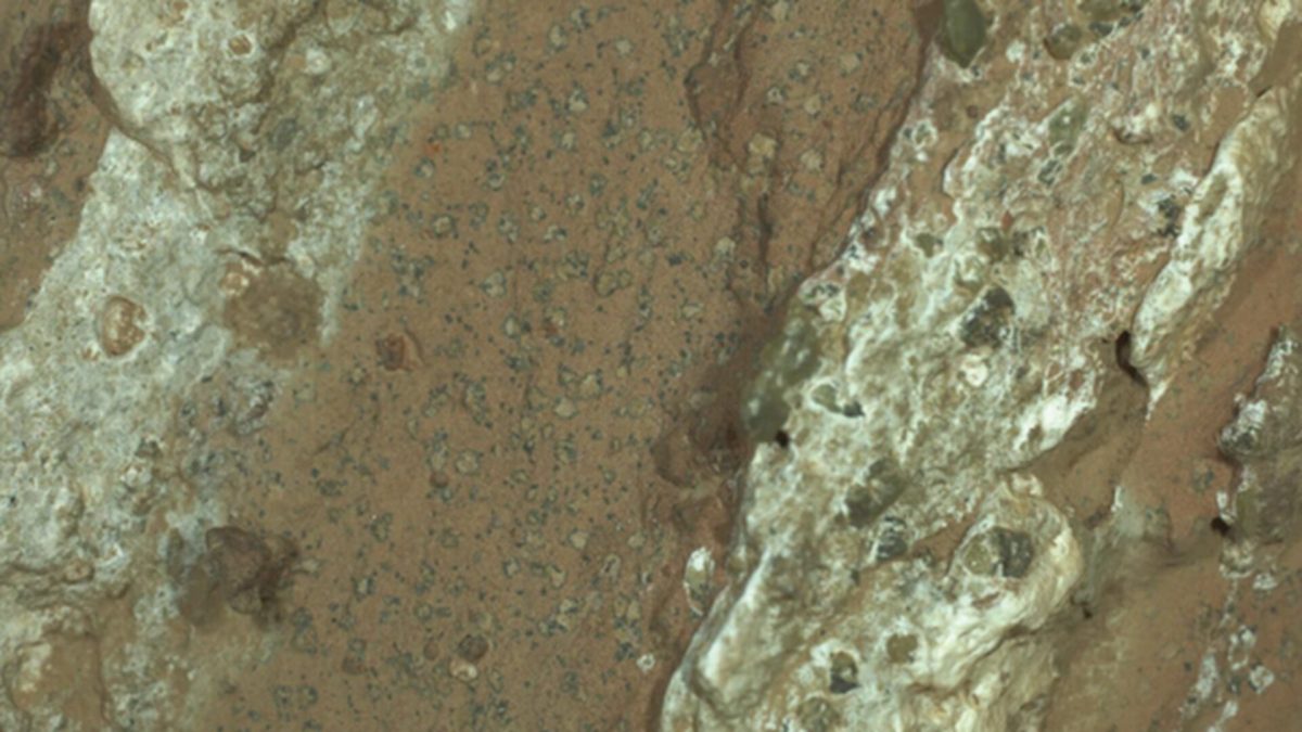 Image du roc possédant de possibles biosignatures. // Source : Nasa/JPL-Caltech/MSSS Image du roc possédant de possibles biosignatures. // Source : Nasa/JPL-Caltech/MSSS