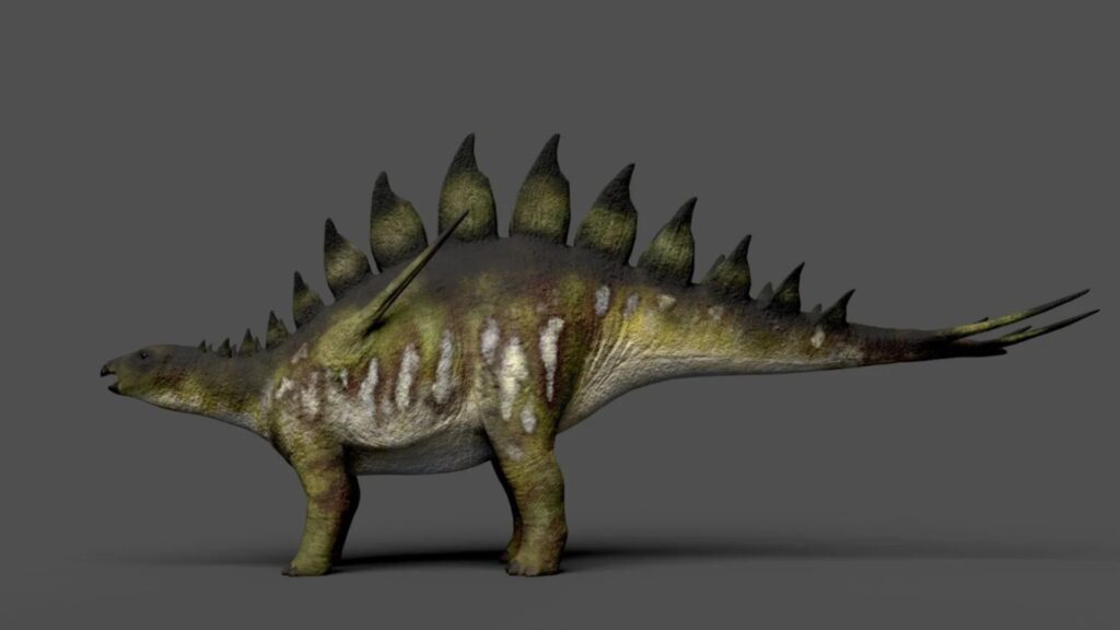 Nouveau modèle en 3D pour le Loricatosaurus priscus // Source : Javier Párraga Nouveau modèle en 3D pour le Loricatosaurus priscus // Source : Javier Párraga