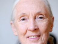 Jane Goodall, le 22 juin 2010 à Paris // Source : Wikimédia - Nikeush Jane Goodall, le 22 juin 2010 à Paris // Source : Wikimédia - Nikeush