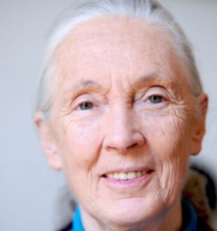 Jane Goodall, le 22 juin 2010 à Paris  // Source : Wikimédia - Nikeush