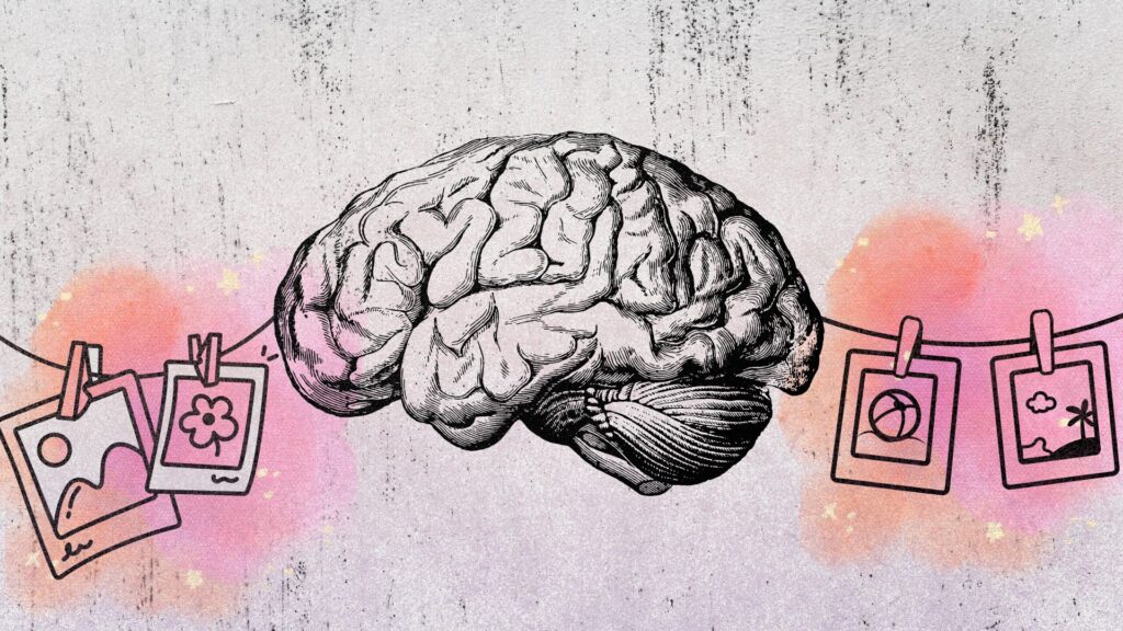 cerveau mémoire souvenir cerveau mémoire souvenir