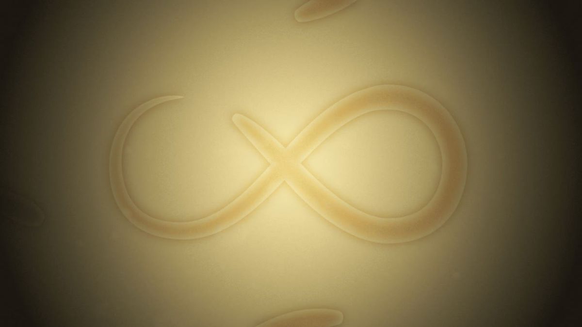 signe infini avec un ver // Source : Jacob Dwyer, Michigan Medicine signe infini avec un ver // Source : Jacob Dwyer, Michigan Medicine