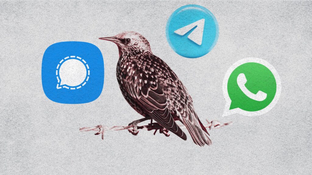 WhatsApp, Telegram, Signal... peu importe votre messagerie, cette menace aura accès à tout // Source : Montage Numerama