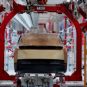production Tesla Cybercab // Source : Capture live Tesla 