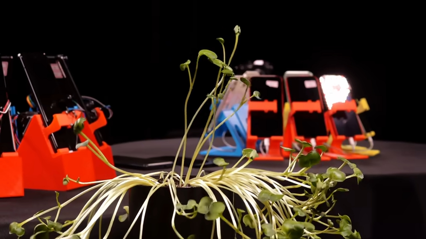 Dans sa salle, le YouTuber a installé des plantes pour montrer l'évolution du temps. Dans sa salle, le YouTuber a installé des plantes pour montrer l'évolution du temps.