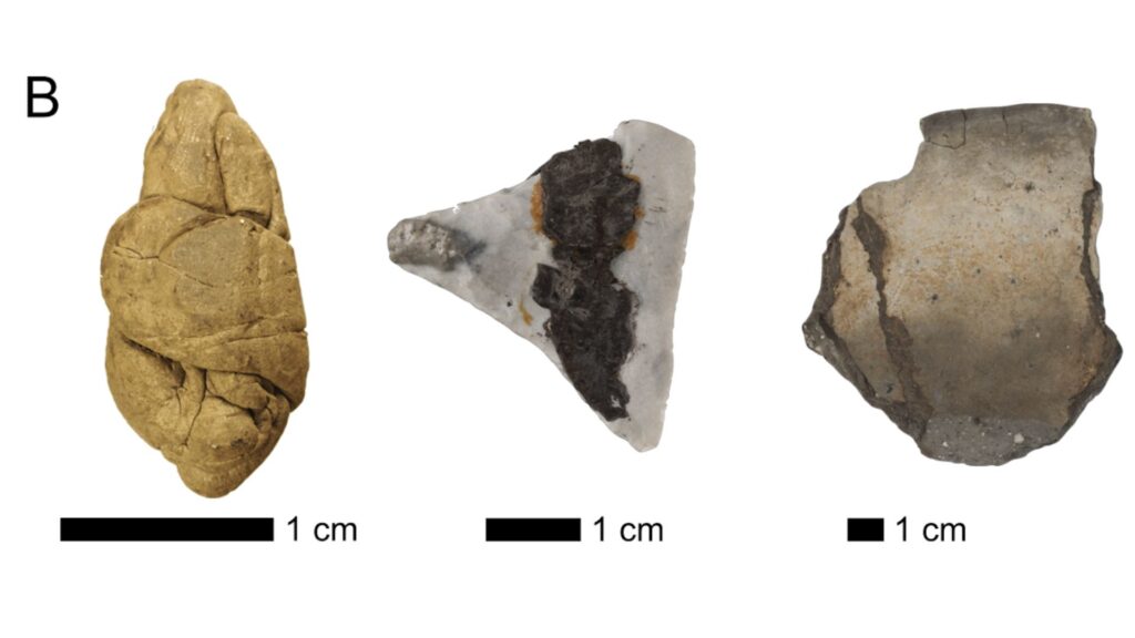 Les différents types d'artefacts analysés dans cette étude comprennent les morceaux de goudron de bouleau « mâchés, le goudron utilisé pour l'abattage et le goudron utilisé pour réparer les récipients en céramique ou en bois // Source : Ancient DNA and biomarkers from artefacts: insights into technology and cultural practices in Neolithic Europe Les différents types d'artefacts analysés dans cette étude comprennent les morceaux de goudron de bouleau « mâchés, le goudron utilisé pour l'abattage et le goudron utilisé pour réparer les récipients en céramique ou en bois // Source : Ancient DNA and biomarkers from artefacts: insights into technology and cultural practices in Neolithic Europe