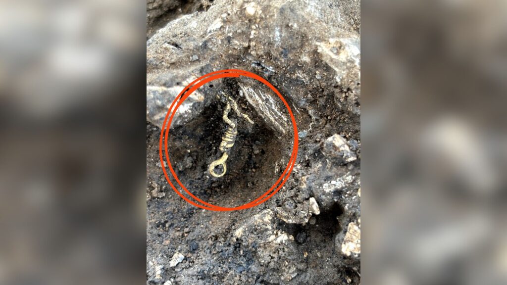Extrémité du bracelet en or terminé par une boucle encore dans la roche // Source : Anne Viero, Inrap Extrémité du bracelet en or terminé par une boucle encore dans la roche // Source : Anne Viero, Inrap