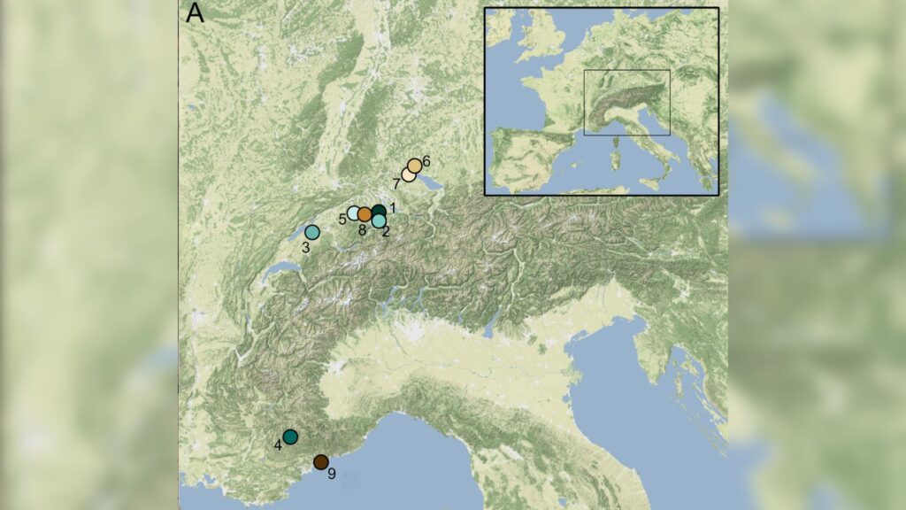 Carte montrant l'emplacement des neuf sites archéologiques à partir desquels les artefacts analysés dans cette étude ont été obtenus. // Source : Ancient DNA and biomarkers from artefacts: insights into technology and cultural practices in Neolithic Europe Carte montrant l'emplacement des neuf sites archéologiques à partir desquels les artefacts analysés dans cette étude ont été obtenus. // Source : Ancient DNA and biomarkers from artefacts: insights into technology and cultural practices in Neolithic Europe