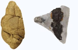 Les différents types d'artefacts analysés dans cette étude comprennent les morceaux de goudron de bouleau « mâchés, le goudron utilisé pour l'abattage. // Source : Ancient DNA and biomarkers from artefacts: insights into technology and cultural practices in Neolithic Europe - modifiée par Numerama Les différents types d'artefacts analysés dans cette étude comprennent les morceaux de goudron de bouleau « mâchés, le goudron utilisé pour l'abattage. // Source : Ancient DNA and biomarkers from artefacts: insights into technology and cultural practices in Neolithic Europe - modifiée par Numerama